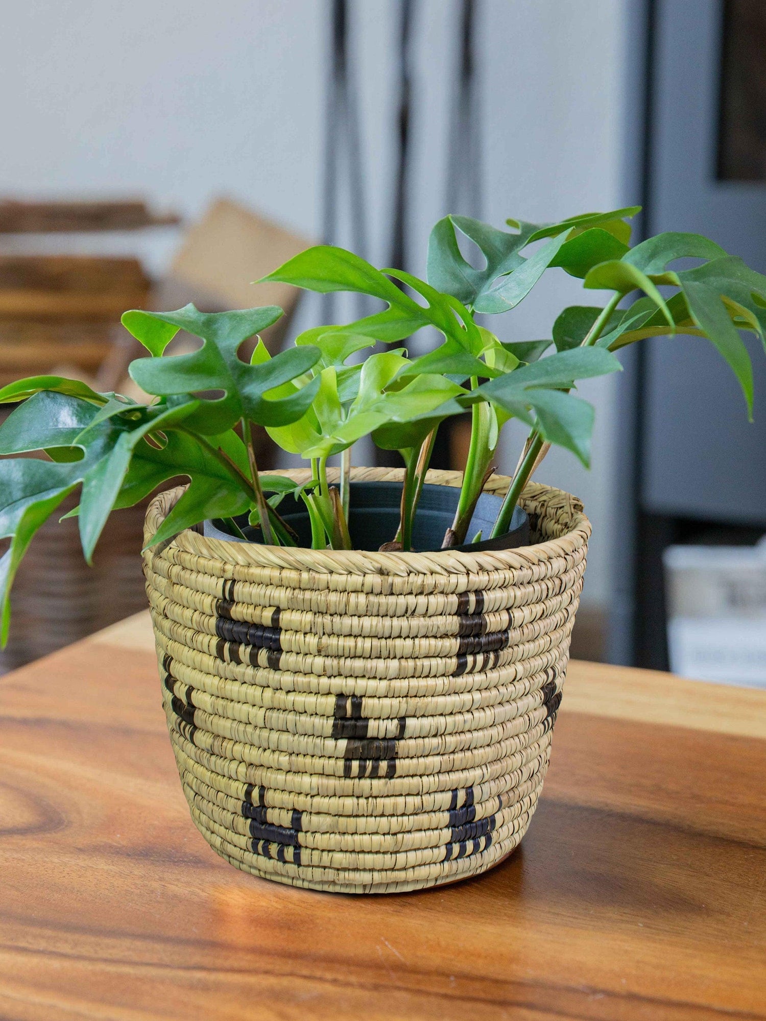 Planter Basket