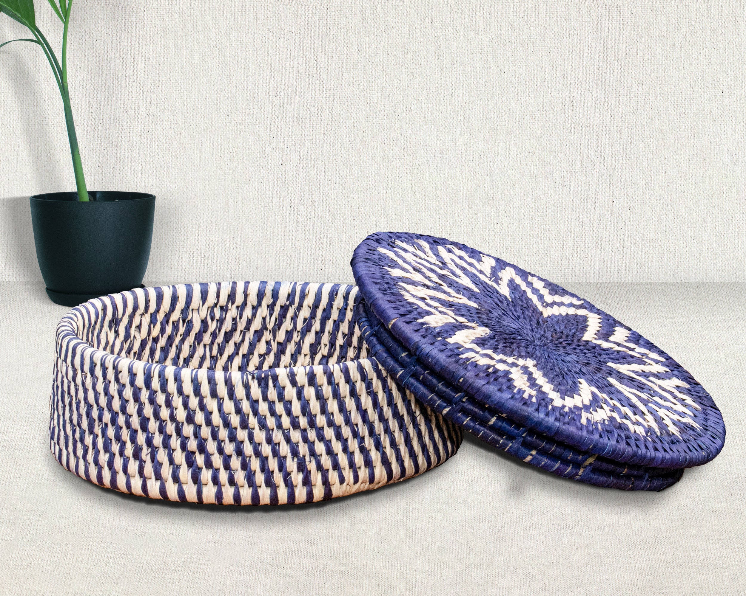 Abstract Feather Burst Basket with Lid