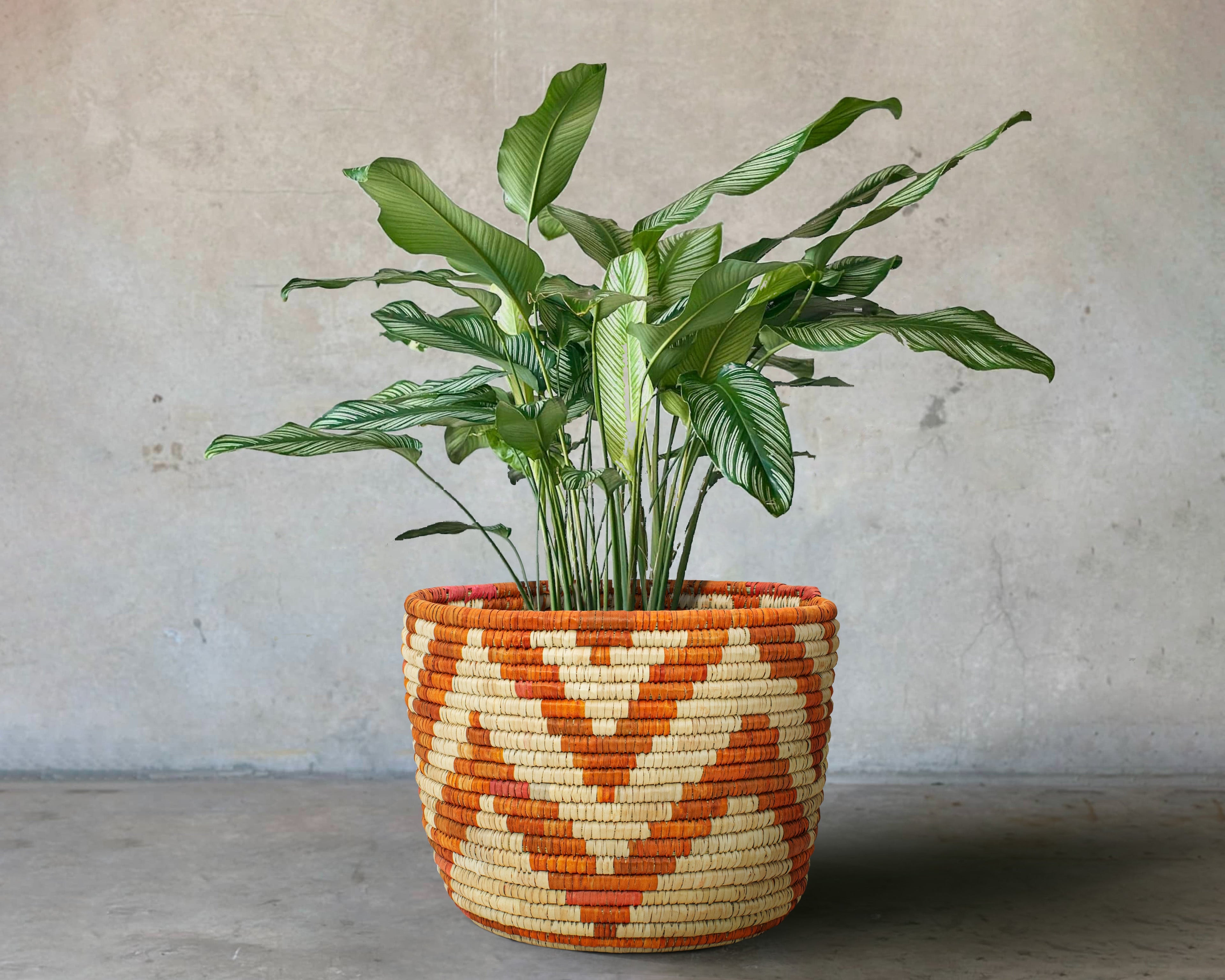 large woven plant basket Canyon Dawn Planter Basket