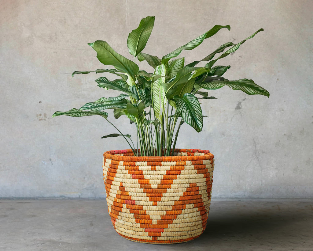 Dawn Handwoven Planter Basket - 12-inch PB-927