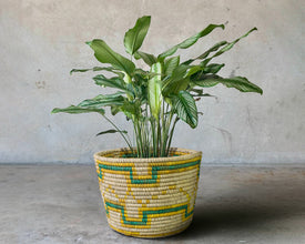 Mesa Wave Handwoven Planter Basket - 12-inch