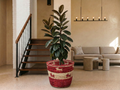 Red Hounds Planter Basket