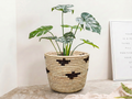 Beige Crosses Planter Basket