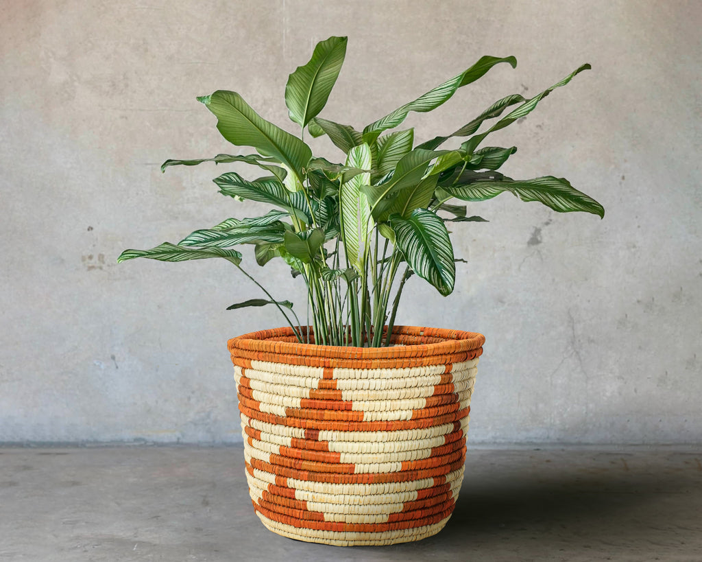 Desert Stripe Handwoven Planter Basket - 12-inch PB-924