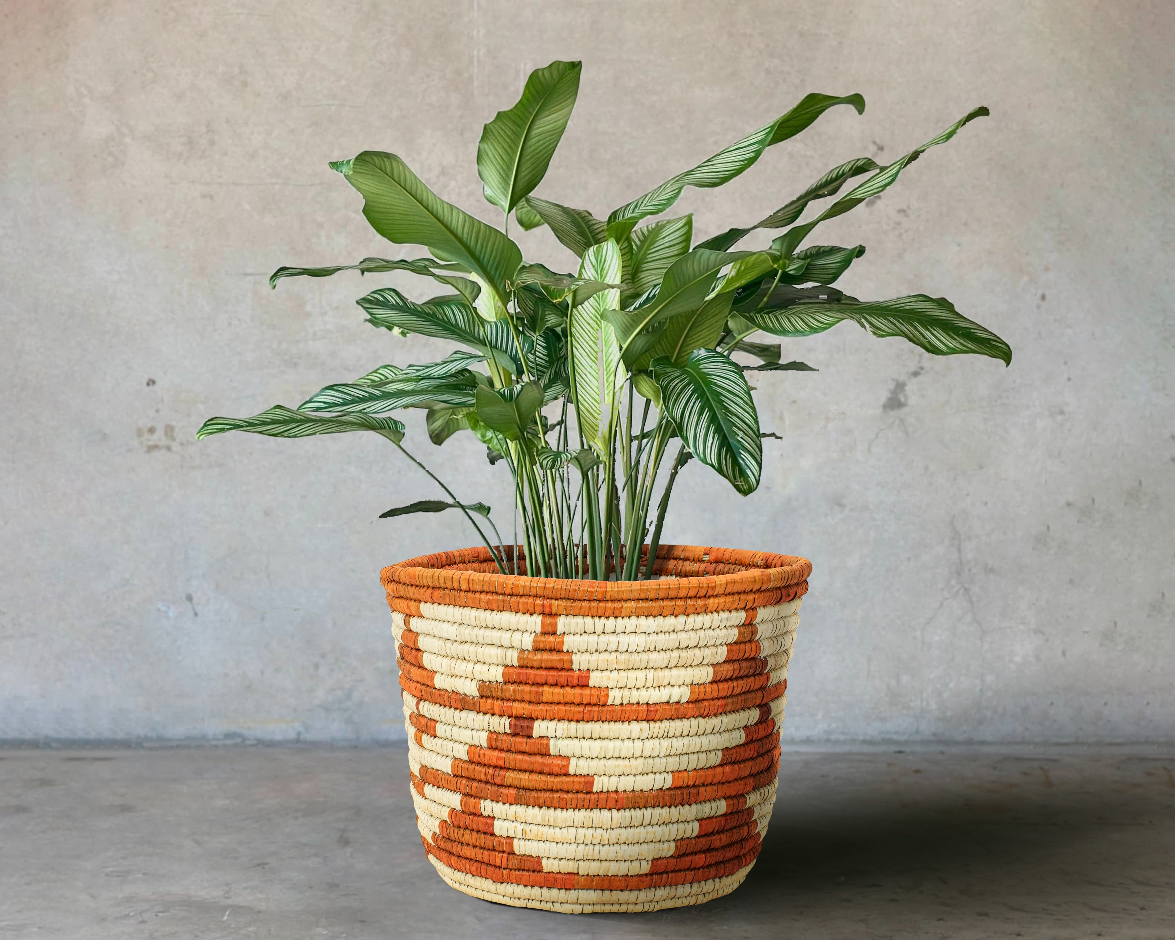 Desert Stripe Handwoven Planter Basket - 12-inch PB-924