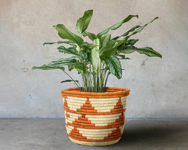 Desert Stripe Handwoven Planter Basket - 12-inch