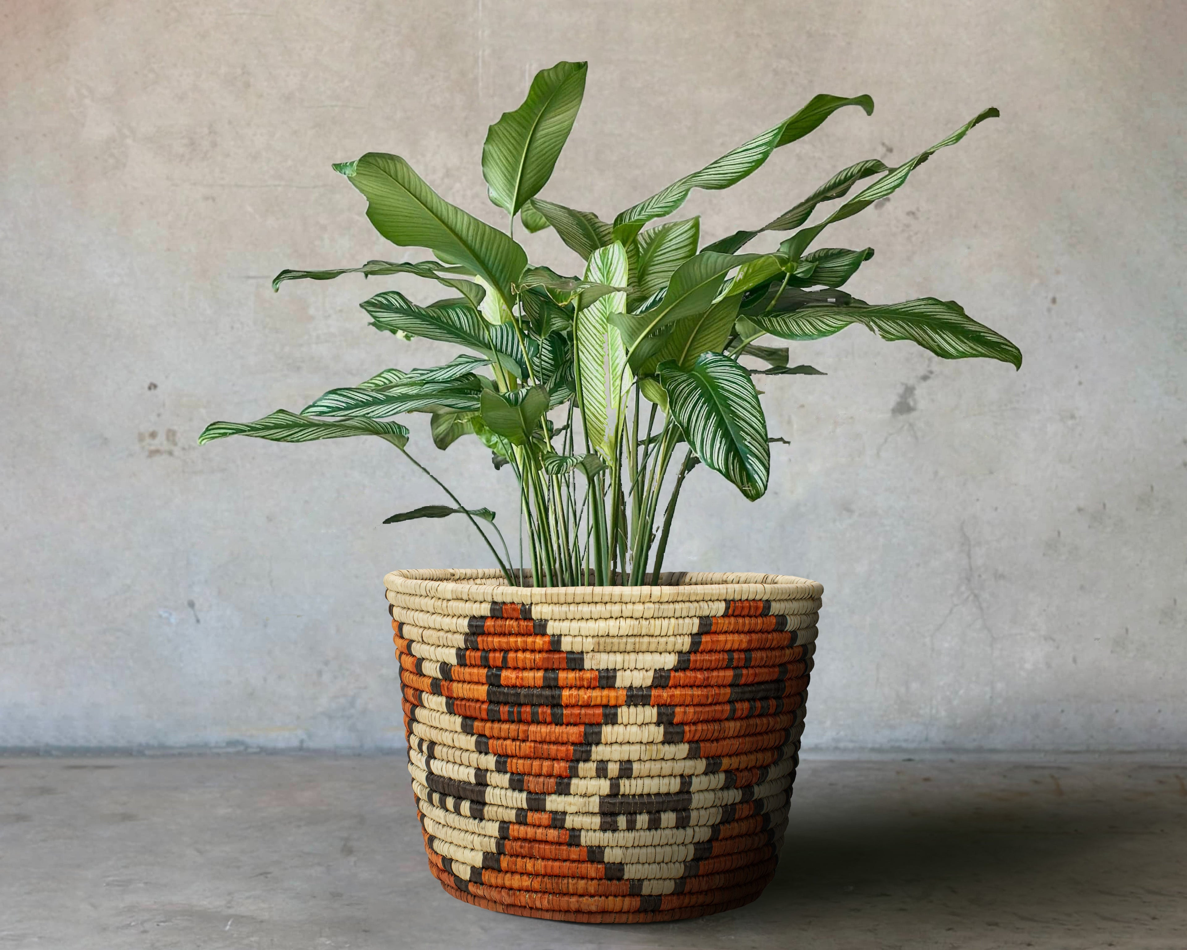 Dogs Canyon Handwoven Planter Basket - 12-inch PB-928