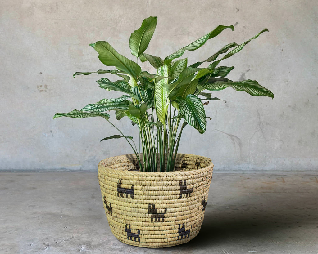 Animal Spirit Handwoven Planter Basket - 12-inch PB-906