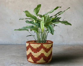 Desert Echo Handwoven Planter Basket - 12-inch