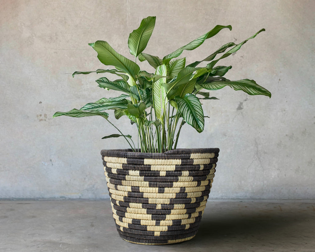 Cheveron Stripes Handwoven Planter Basket - 12-inch PB-922