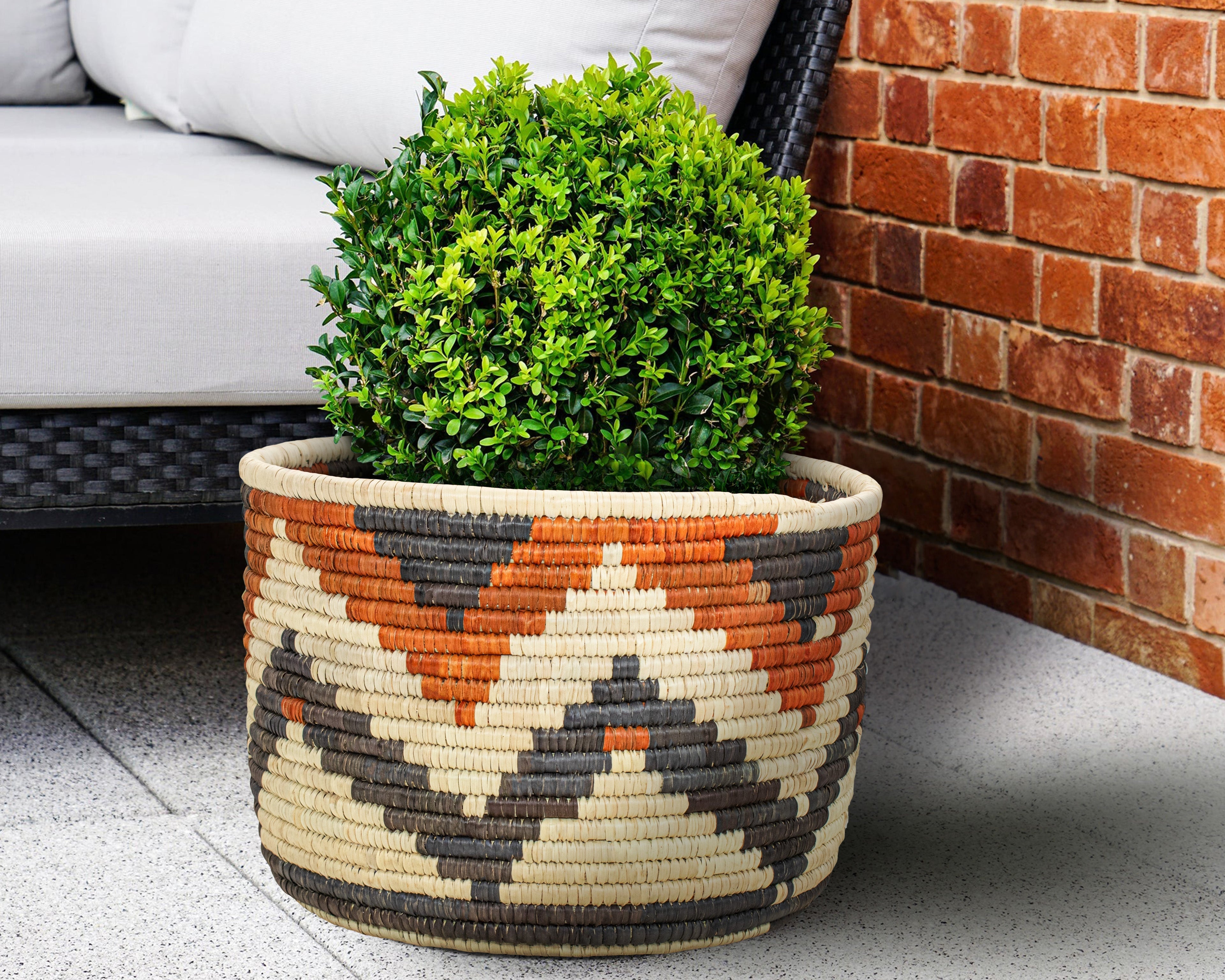 Twilight Bloom Planter Basket