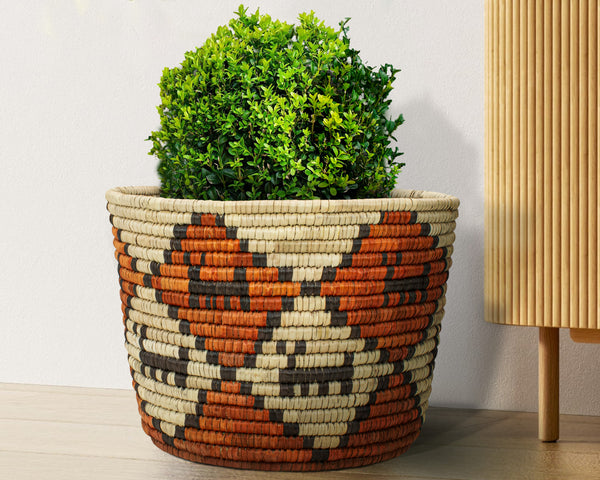 Dogs Canyon Handwoven Planter Basket - 12-inch