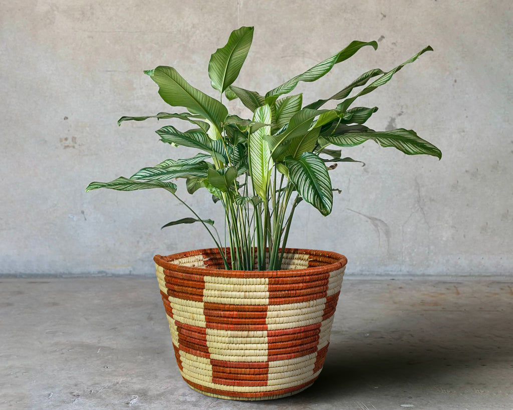 Checkered Brown Handwoven Planter Basket - 12-inch PB-909