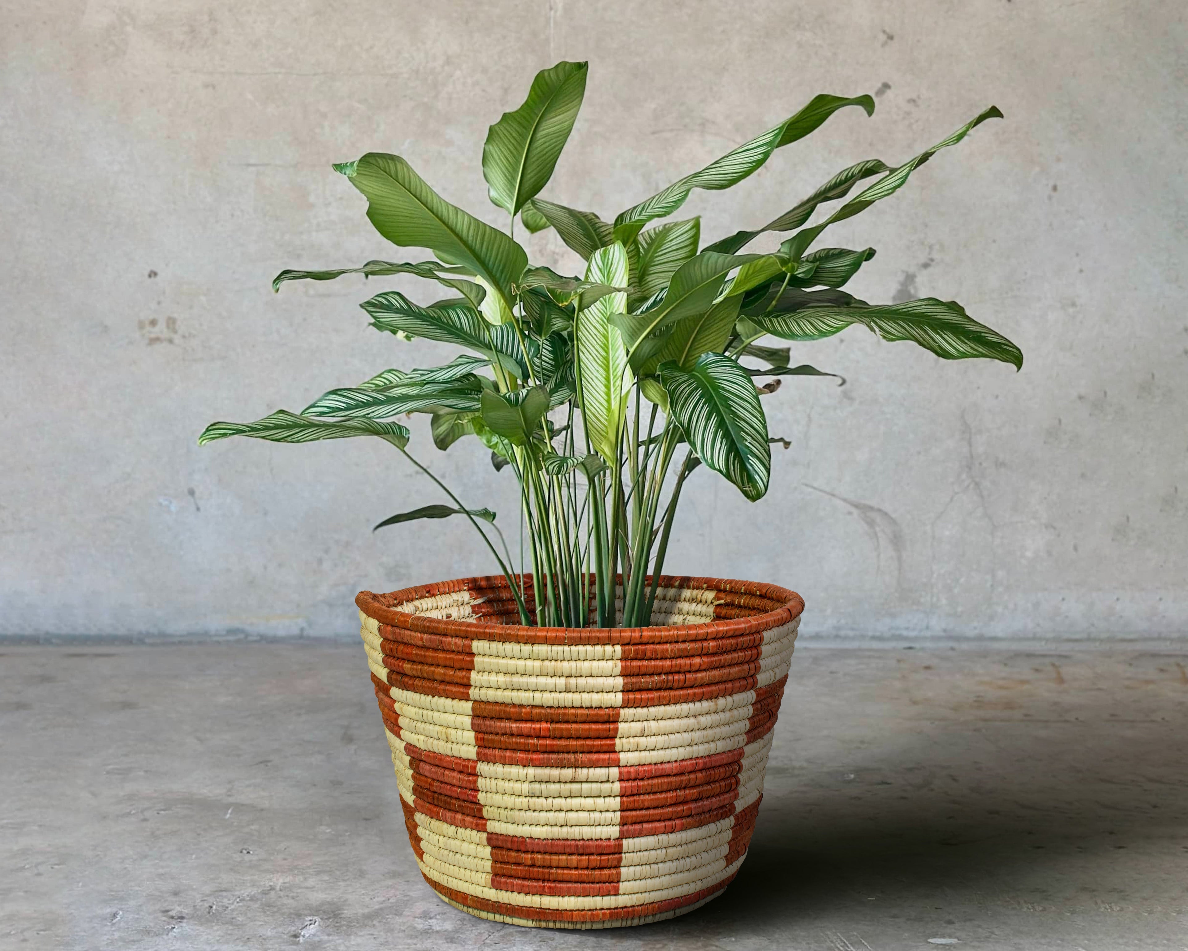 Checkered Brown Handwoven Planter Basket - 12-inch PB-909