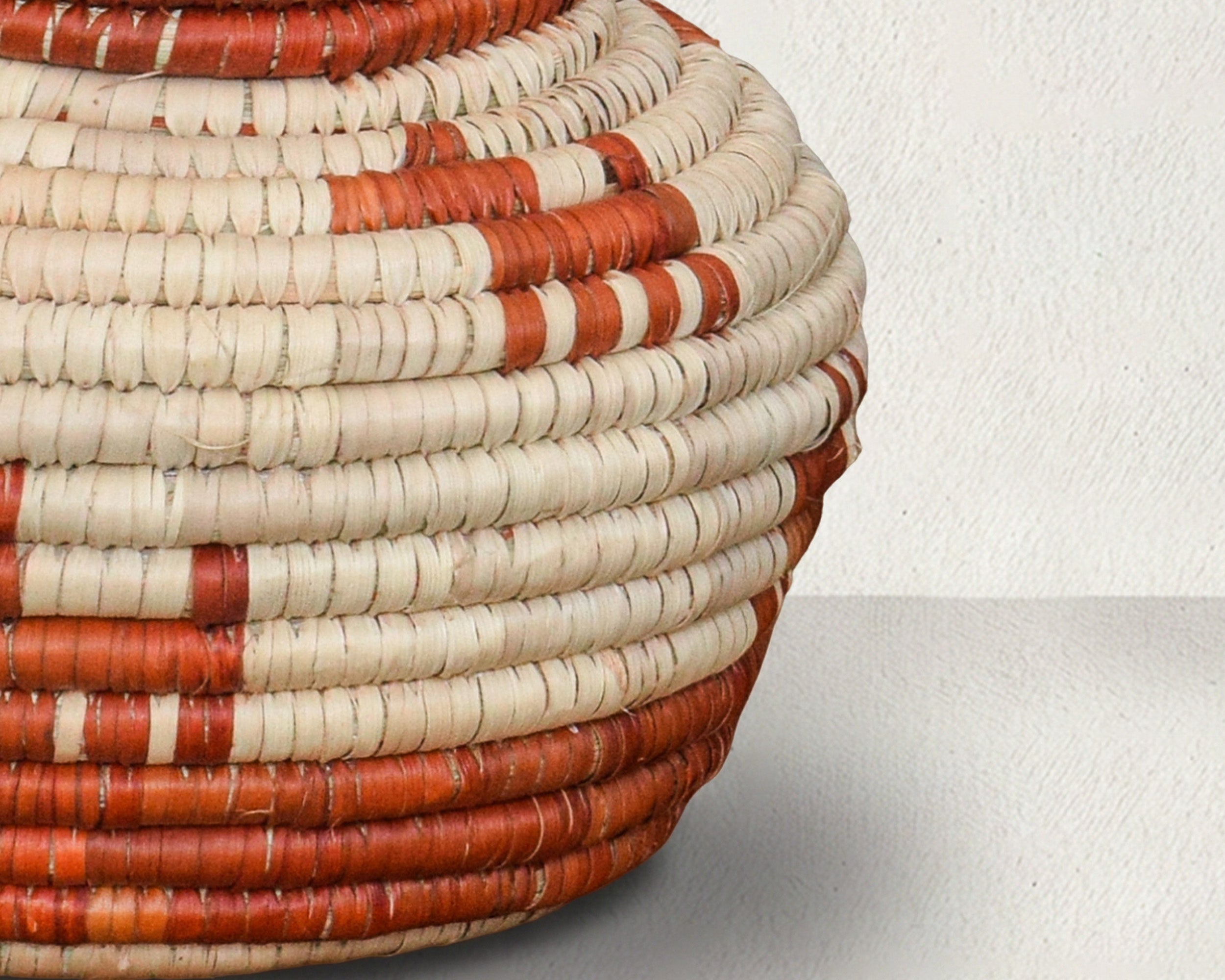 Dog Walk Coiled Vase