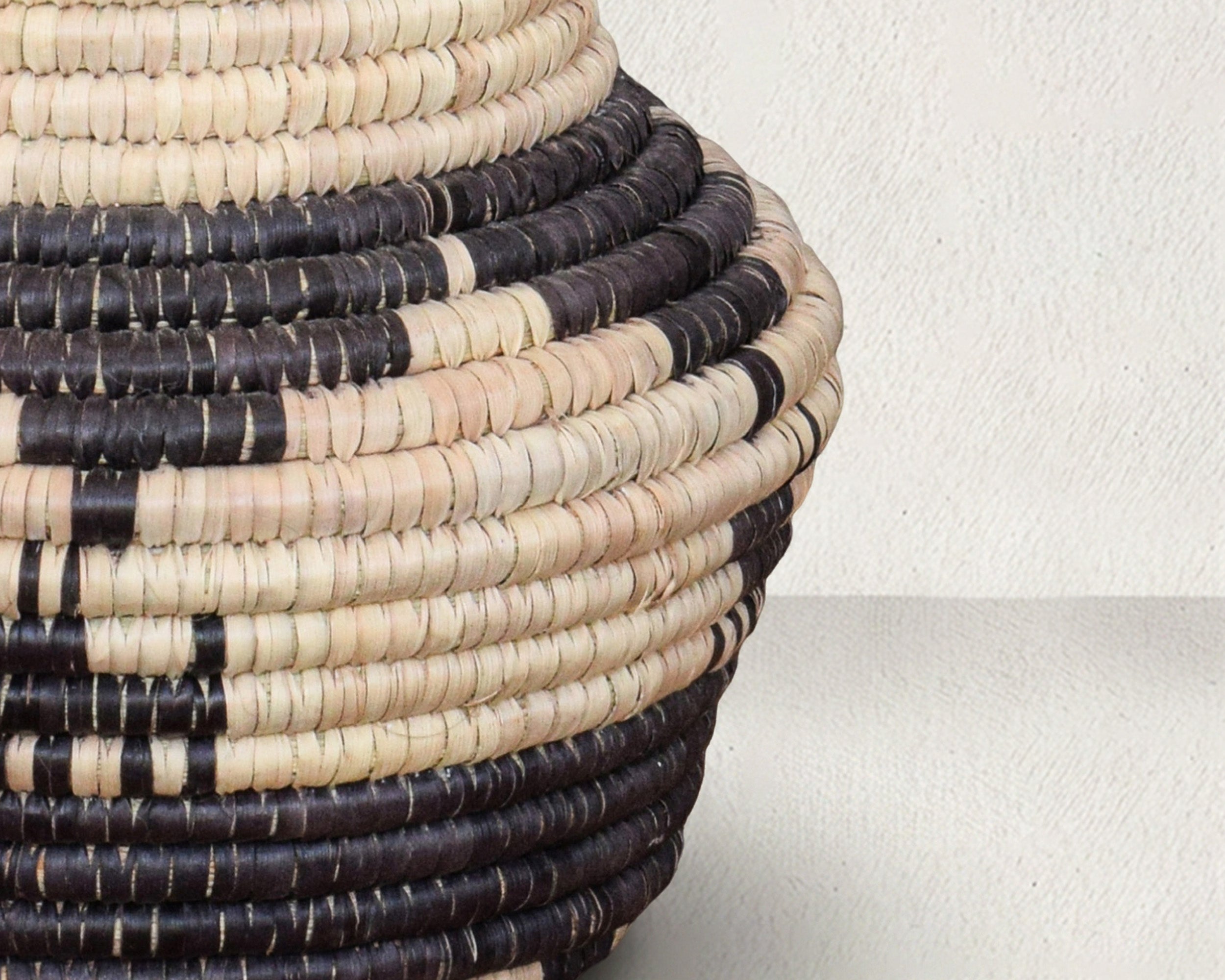 Dog Orbits Coiled Vase