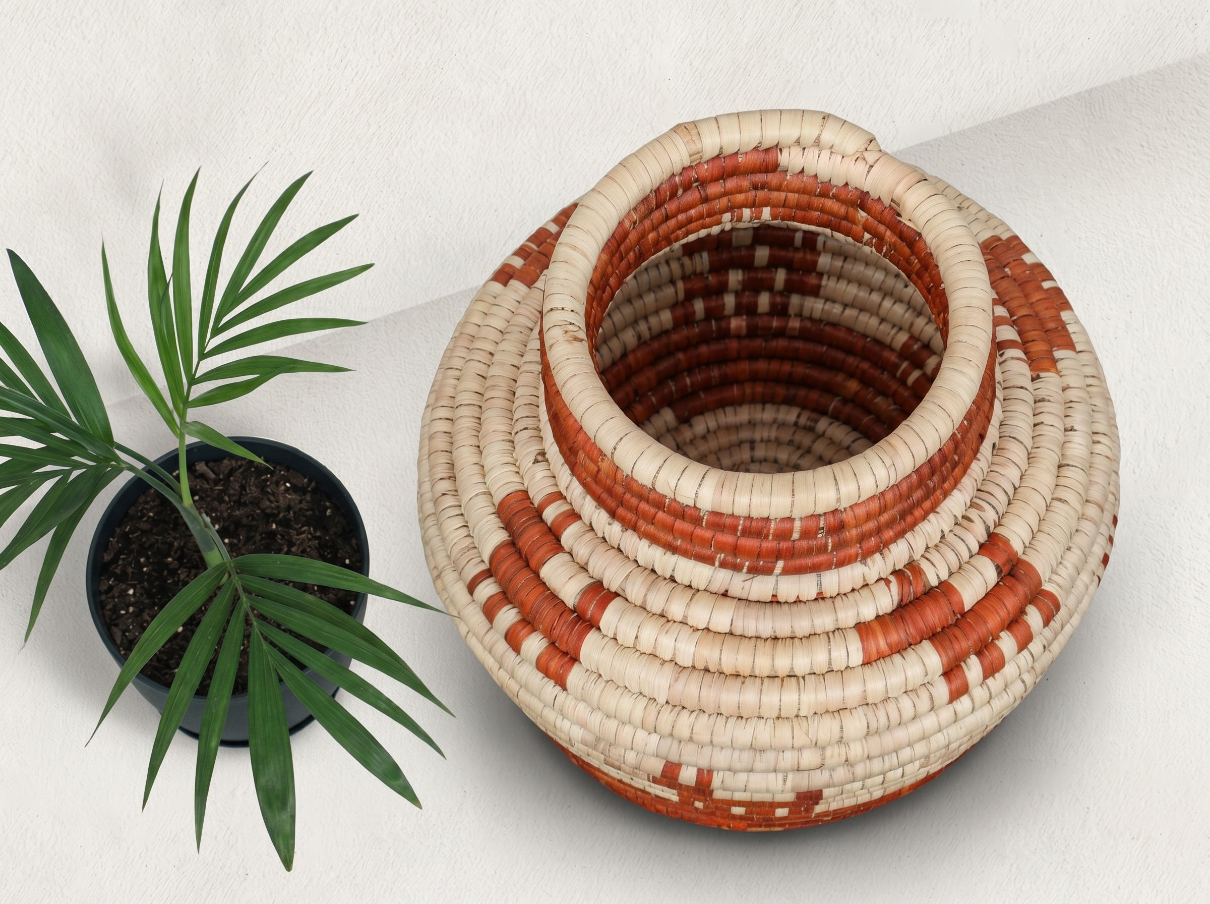 Dog Walk Coiled Vase
